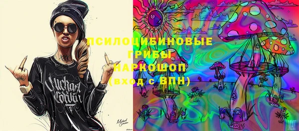 шишки Алексин