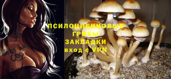 шишки Алексин