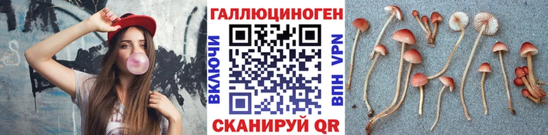 Псилоцибиновые грибы Magic Shrooms  купить   Новоульяновск 